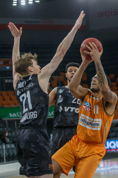 他耐心地寻 他耐心地寻